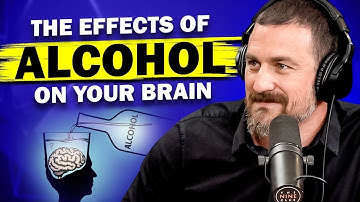 Neuroscientist Reveals What Alcohol Does To Your Brain - Andrew Huberman