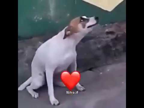 Dancin Meme Edit Youtube Dancin Meme Edit Youtube