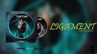 lFERDA-LIGAMENT