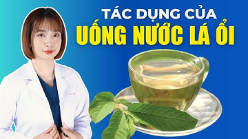 Tác Dụng Của Lá Ổi: Bí Quyết Sống Khỏe Từ Thiên Nhiên | Bác Sĩ Hoa