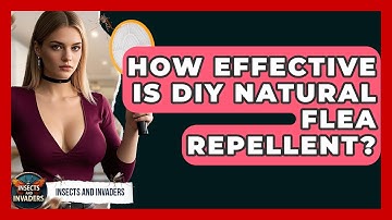 How Effective Is DIY Natural Flea Repellent? - Insects and Invaders