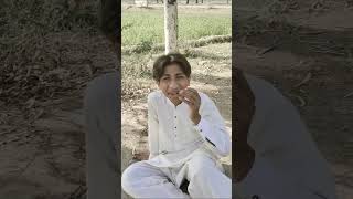 non PTA approved cashan #funny #intertainment