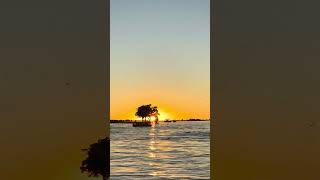 Botswana! Sunsets, Safari, From Lions to Wild Dogs you’ll have it all! #botswana #4x4 #safari