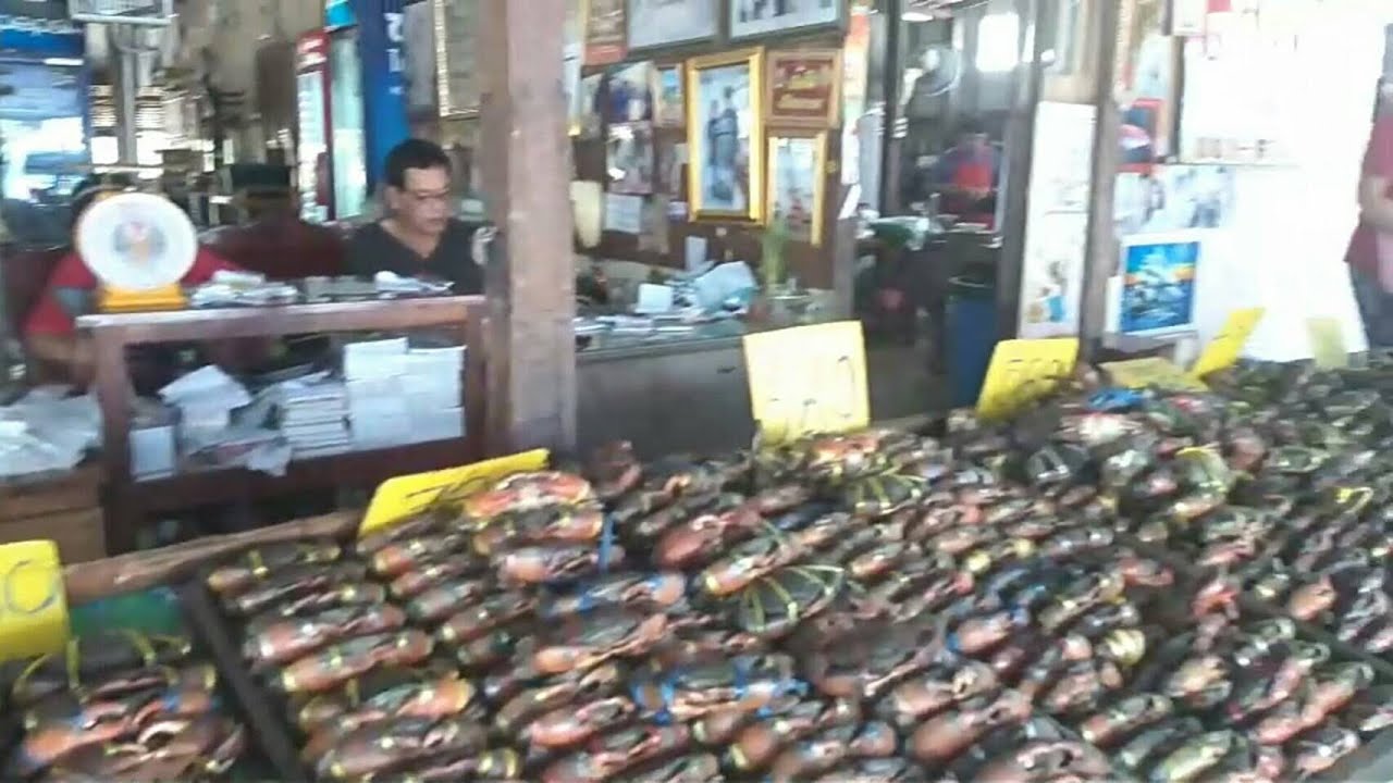 ตลาดอาหารทะเลสดๆ ริมถนนบางขุนเทียนชายทะเล | ข้อมูลล่าสุดเกี่ยวกับตลาด อาหาร ทะเล บางขุนเทียน