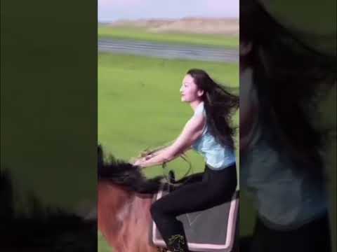Наездницы. Прогулка 6. Horsewomen. Walk. #horsewomen #horses #walk #лошади #природныепейзажи #nature