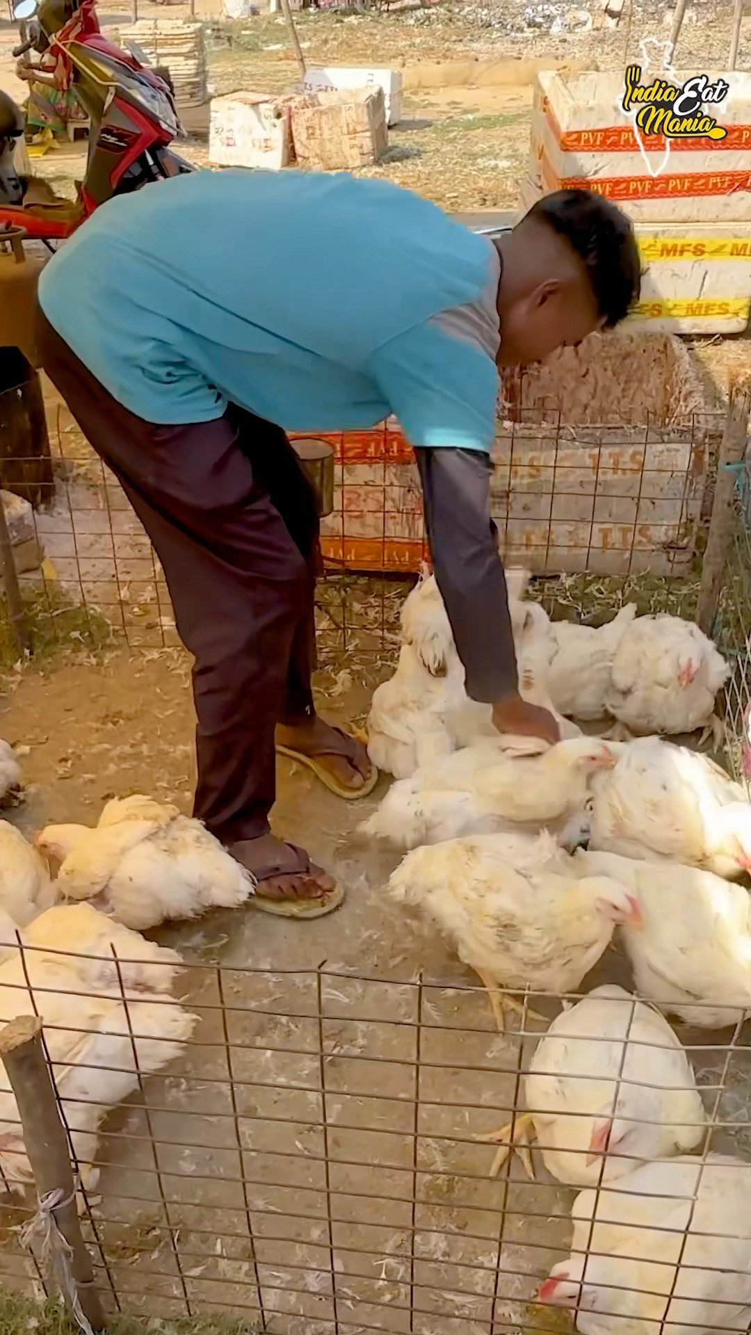 Tribal Adivasi Bazar Ka Chulhe Wala Desi Chicken In Ranchi Rs. 140/- Only #jharkhand #shorts