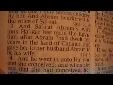 Genesis 16 Holy Bible (King James)