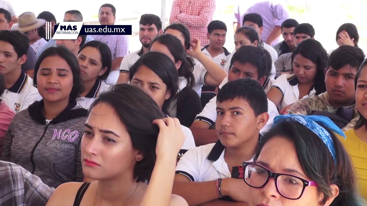 educación a distancia Breves UAS - 28 de Mayo de 2018