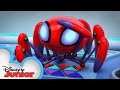 Tracee shake music   marvels spidey and his amazing friends  disneyjunior