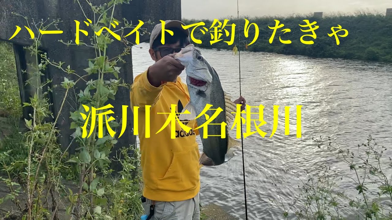 管釣り バス釣り 渓流釣り 小学6年生が琵琶湖での陸っぱりバス釣りに挑戦！ソフトベイトで本命