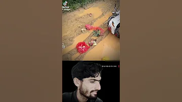 Mr Boombastic Slowed Funnyvideos Viralvideo Ringtone 