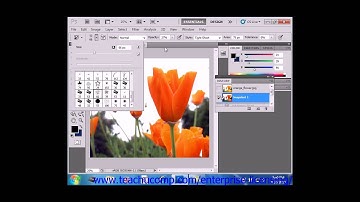 Photoshop CS6 Tutorial Using the Art History Brush Panel Adobe Training