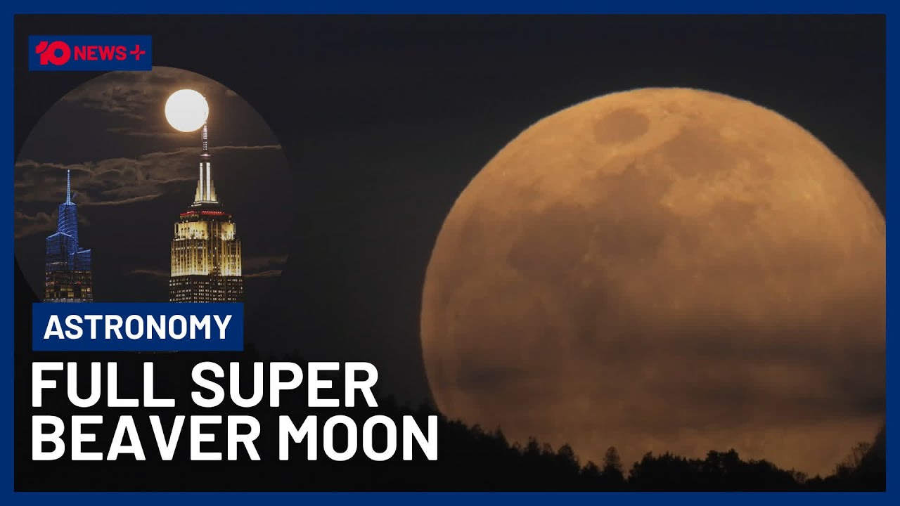Rare Full Super Beaver Moon Set To Light Up The Sky On November 5 | 10 ...