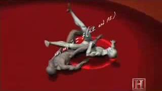 Human Weapon Sambo   Scissor Takedown