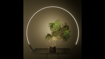 Chinese Bonsai Tree | Animation | Interior Design | Blender 3D