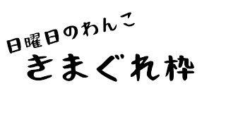 きまぐれ枠【お試し】