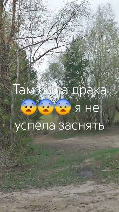 ястреб атакует 2 - YouTube