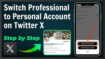 How to Switch Professional Account to Personal Account on X Twitter