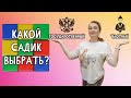 В какой сад отдать ребенка? Выбор детского сада Государственный или частный детский сад?