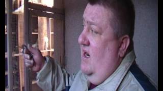 Херсонский клуб голубеводов.Голуби Александра Крюкова ч.(2). Херсонский клуб голубеводов.Голуби Александра Крюкова ч.(2).