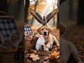 He invited them all to a picnic. But who's in charge? 🐶🐿️🐰🦜