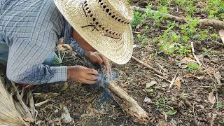 Fuego por fricción manual en el campo, 2023. by Tu Amigo Jorge CruzS 937 views 9 months ago 6 minutes, 37 seconds