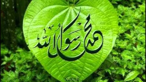 القارىْ محمود محمد عاقول سورة محمد .