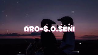 ARO-S.O.SENI/lyrics,music,текст