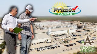 We Visited A State of the Art Pistachios Processing Plant! Primex Farms!