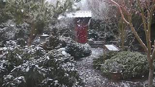 Snowing in Corvallis - March 2019