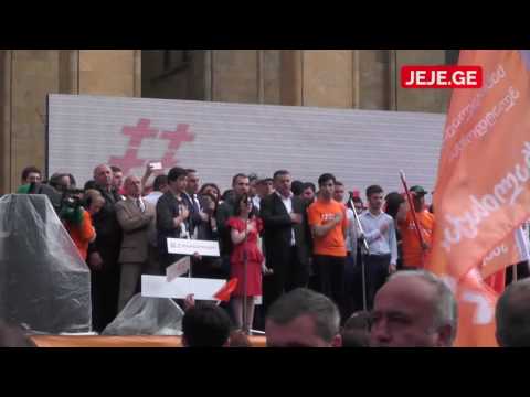\"ახალი საქართველო\" პარტიის პრეზენტაცია - გიორგი ვაშაძის სიტყვით გამოსვლა
