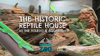 The Historic Reptile House at the Toledo Zoo & Aquarium | Exhibit Tours Ep. 29