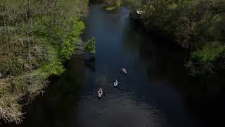 Celebrity Relaxing in Alachua County, Florida Profile