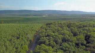 0 WOOD VALLEY LANE, PIEDMONT, AL Presented by Phillip Winkles.