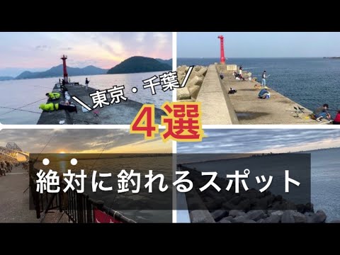 行かなきゃ損！東京・千葉で絶対に釣れる釣りスポット4選はここ！