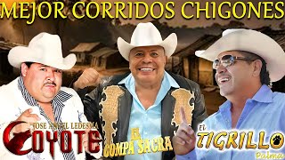 El Tigrillo Palma, El Compa Sacra, El Coyote - Mix Para Pistear || CORRIDOS CON BANDA