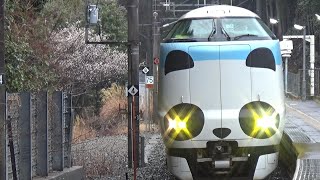 【パンダくろしお到着＆発車！】きのくに線 287系 特急くろしお26号新大阪行き 太地駅