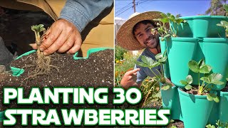 Building A Vertical Strawberry Garden!