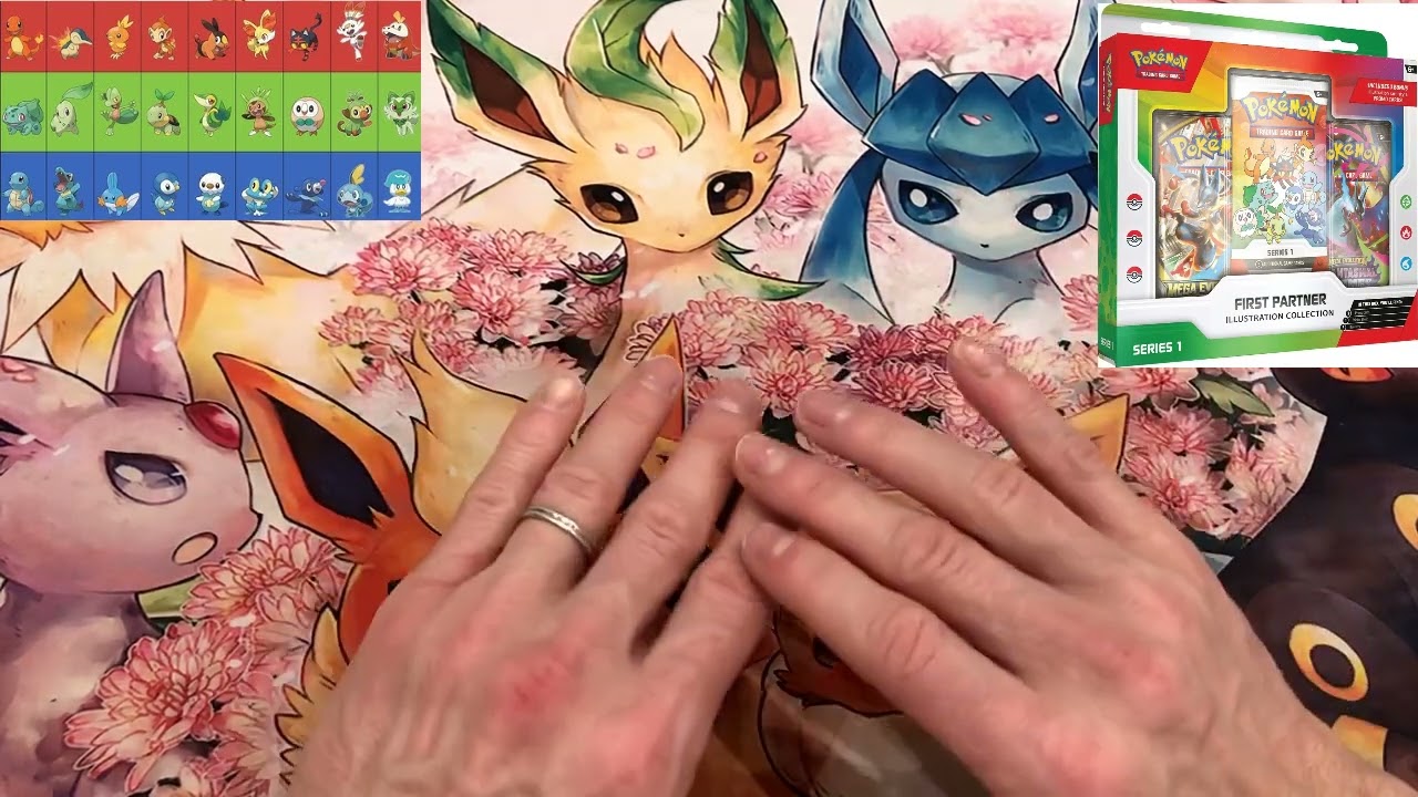 It could be crazy with this Pokemon First Partner box set