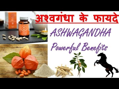 ashwagandha uses for hair Ashwagandha | Ashwagandha powerful benefits | अश्वगंधा के फायदे