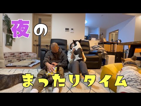 フレブル6頭でちょい長お留守番!大歓迎のあとのまったりタイムが最高に癒される~