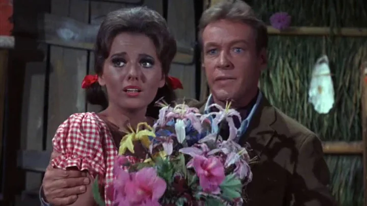 Gilligan's Island  - The Courtship of Mary Ann
