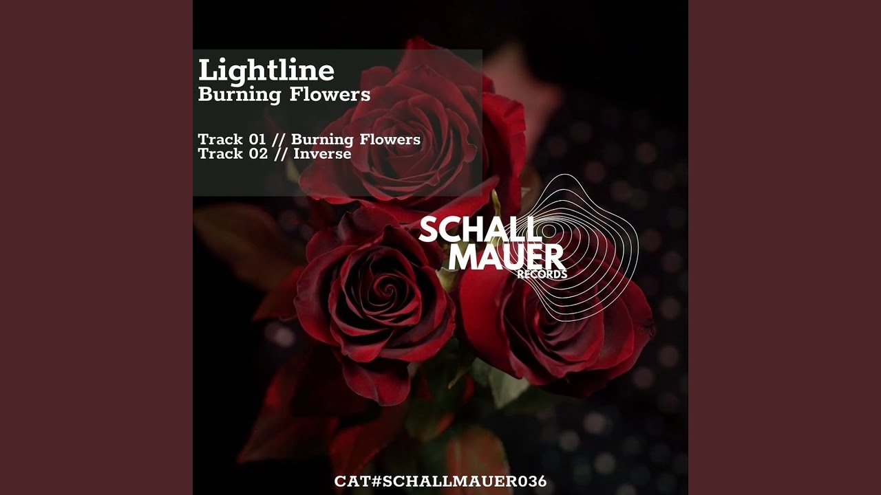 Watch Inverse on YouTube Watch Inverse on YouTube