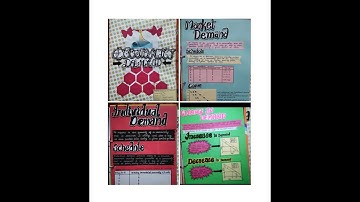 Economics Class 11 Project On topic Demand | By Mehak Khandelwal