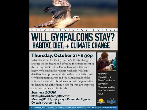 Will Gyrfalcons Stay? Habitat, Diet, & Climate Change - Strait Science October 21, 2021