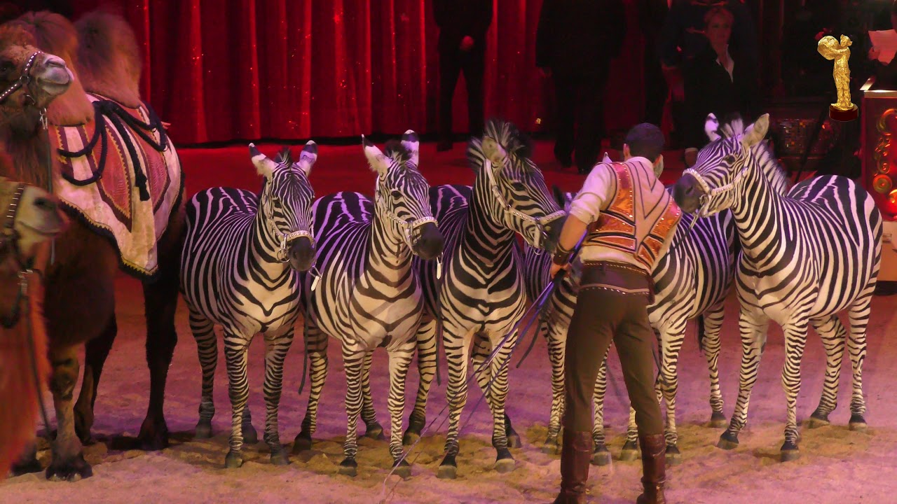 42. Monte-Carloi Cirkuszfesztivál Arany díjasai - Merrylu Richter és Ifj. Richter József