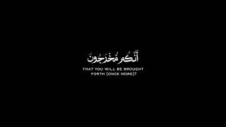 هيهات هيهات لما توعدون شاشة سوداء ~ كرومات قرآن كريم بصوت الشيخ #ياسر_الدوسري #سورة_المؤمنون