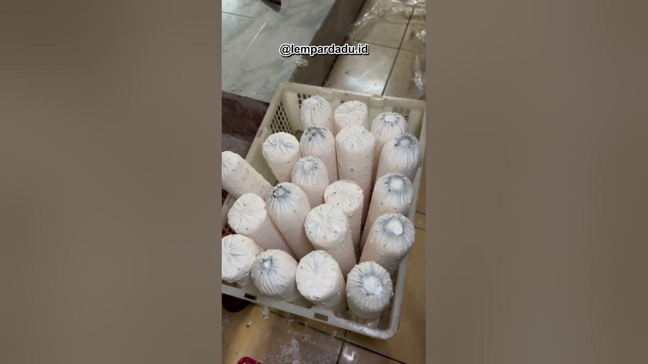 BOSAN JADI GURU GAJI KECIL SEKARANG BIKIN USAHA BEDA! #cemilan #keripik #tempe #kuliner #jogja #food BOSAN JADI GURU GAJI KECIL SEKARANG BIKIN USAHA BEDA! #cemilan #keripik #tempe #kuliner #jogja #food