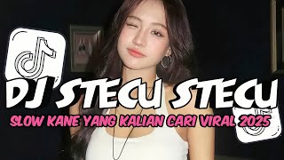 Download Lagu DJ VIRAL DITIKTOK‼️DJ STECU STECU | DJ NONA STECU STELAN CUEK ADUHAI SLOW KANE VIRAL DITIKTOK 2025 MP3