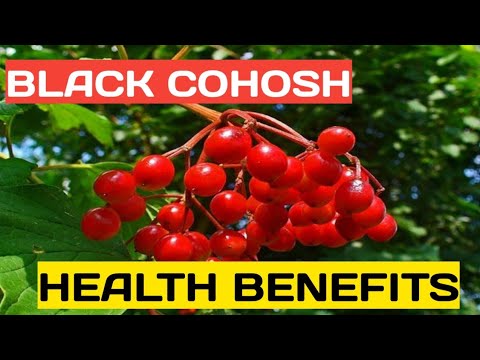 Black Cohosh For Hot Flashes Menopause And More